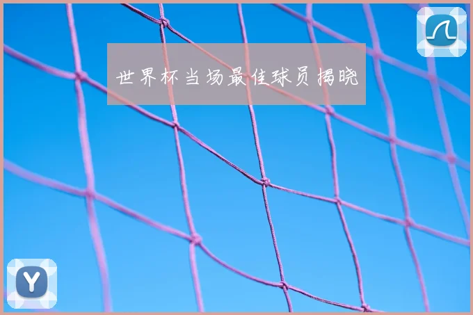 世界杯当场最佳球员揭晓