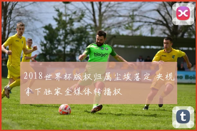 2018世界杯版权归属尘埃落定 央视拿下独家全媒体转播权