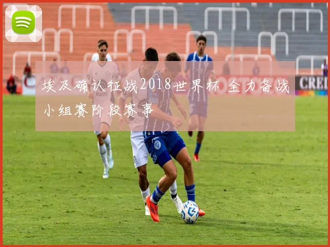 埃及确认征战2018世界杯 全力备战小组赛阶段赛事