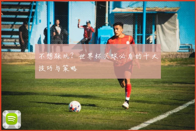 不想踩坑？世界杯买球必看的十大技巧与策略