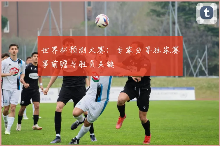 世界杯预测大赛：专家分享独家赛事前瞻与胜负关键