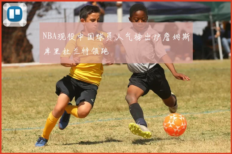 NBA现役中国球员人气榜出炉詹姆斯库里杜兰特领跑