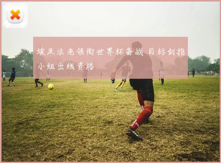 埃及法老领衔世界杯备战 目标剑指小组出线资格
