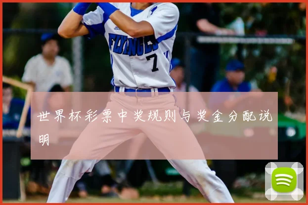 世界杯彩票中奖规则与奖金分配说明