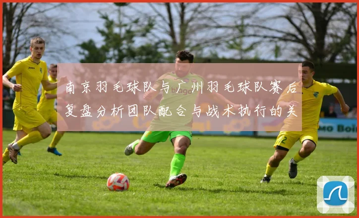 南京羽毛球队与广州羽毛球队赛后复盘分析团队配合与战术执行的关键因素