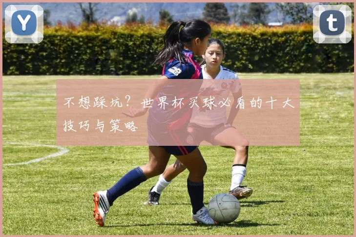 不想踩坑？世界杯买球必看的十大技巧与策略