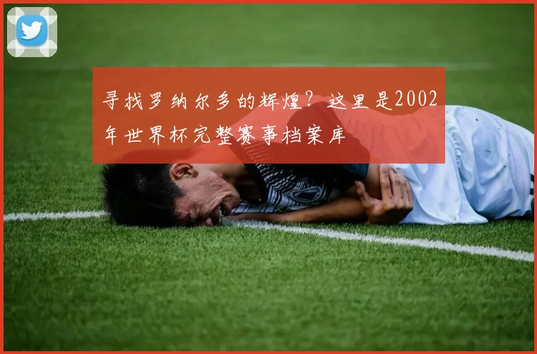 寻找罗纳尔多的辉煌?这里是2002年世界杯完整赛事档案库